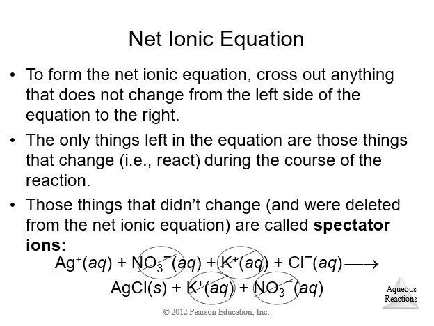 Net Ionic Equation